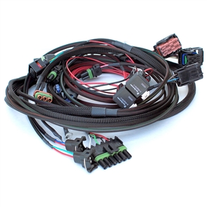 7078 Holley Terminator X Wiring Harness