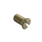 Throttle Valve Securing Screw