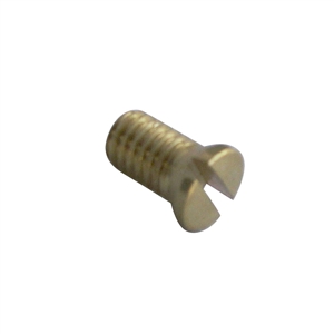 Throttle Valve Securing Screw
