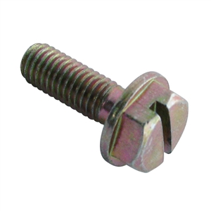 Securing Screw