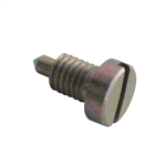 Securing Screw