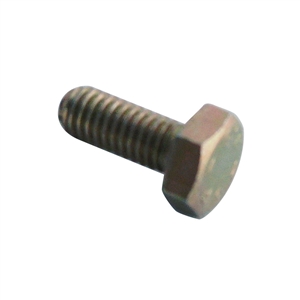 Stealth Securing Screw