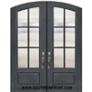 6 Lite SDL Arch Top Double Door