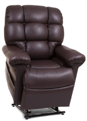 Golden Tech MaxiComfort Power Lift Recliner With Twilight and Lumbar Support