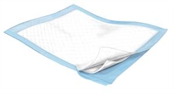 Underpad for Incontinence, Light Absorbency, Disposable 23" x 24" 100 count