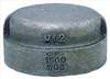ANVIL , Cap 1-1/4 In Threaded Malleable Iron