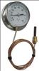 APPROVED VENDOR , G2664 Panel Mount Thermometer 0 to 100 F