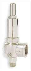 APOLLO , D4508 POP Safety Valve 1 x 1-1/4 In 100 PSI