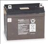 LITHONIA , Rechargeable Battery Volts 6 DC