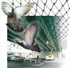 BIRD-X , Bird Net 50 x 50 ft Polyethylene