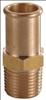 APPROVED VENDOR , Hose Barb 1/2 In 1/2 MNPT Brass