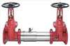 WATTS , Double Check Valve Assy 8 In.