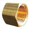 APPROVED VENDOR , Brass Cap 1/2 In FNPT