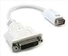 APPROVED VENDOR , CPU Cord Adapter Mini-DVI/DVI