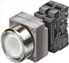 SIEMENS , Pushbutton LED 24VAC/DC Flush 22mm WH