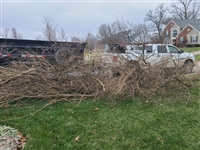 Tree, Brush Yard Waste Removal