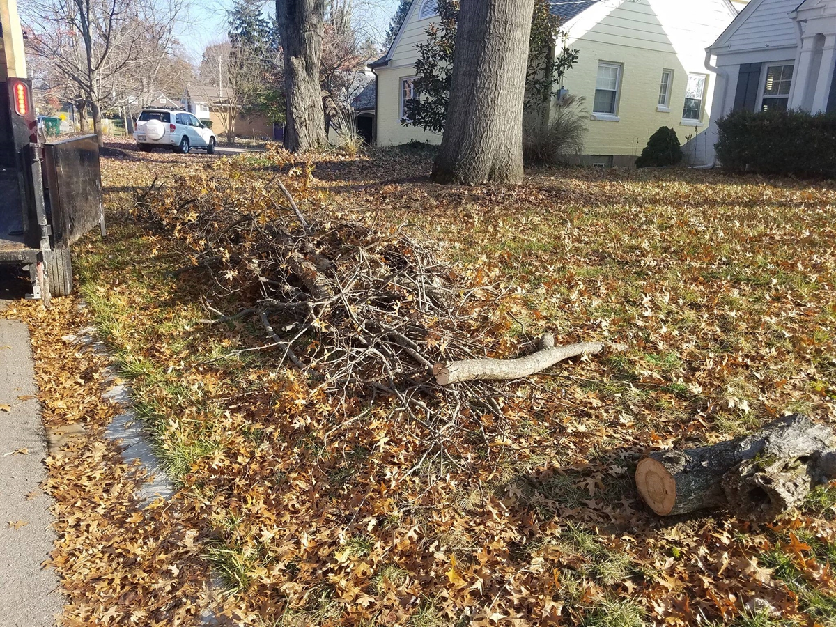 Yard Waste and Branch Pickup