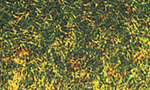 Busch 7110 Grass Flocking Dark Green