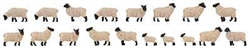 Faller 151918 HO Black-Headed Sheep pkg (18)