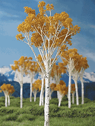 Grand Central Gems T16 Fall Aspen Tree 2 to 3" Pkg 15