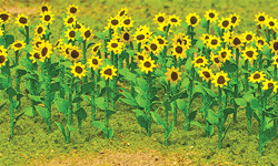 JTT 95523 HO Sunflowers 1" Tall Pkg 16