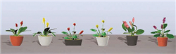 JTT 95569 HO Assorted Potted Flower Plants Set #3 Pkg 6