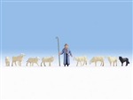 Noch N 36748 Shepherd with 8 Sheep