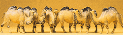 Preiser 20383 HO Animals Camels Bactrian 2 Humps Pkg 6