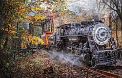 Train Enthusiast 30121 Train's Coming Puzzle 1000 Pieces