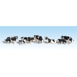 Woodland A2724 O Holstein Cows