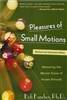 THE PLEASURES OF SMALL MOTIONS