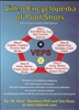 VIDEO ENCYCLOPEDIA OF POOL SHOTS