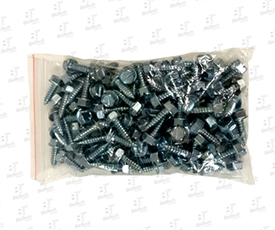 Slotted Hex Screw 100/pack