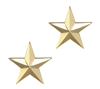 One Star 1 Inch Gold Insignia - 4470G