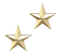 One Star 1 Inch Gold Insignia - 4470G