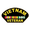 Eagle Emblems Vietnam Veteran Pin P15908