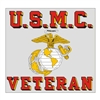 USMC Veteran with Eagle Globe and Anchor Logo D163-M
