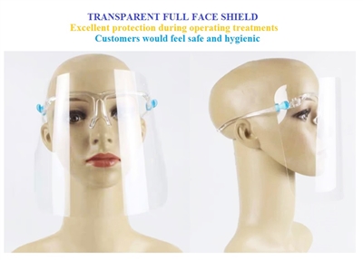 10 pcs x Transparent Full Face Shield with Glass Frame