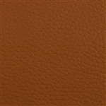 Beluga Ochre