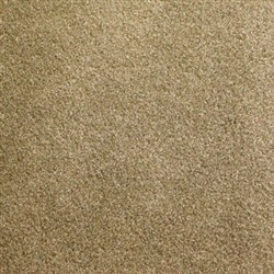 Medium Neutral Backless Carpet