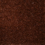 Cocoa AquaTurf