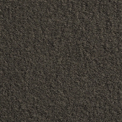 El Dorado Medium Dark Grey Cut Pile - DISCONTINUED WHILE SUPPLIES LAST