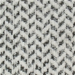 Fresca Dalmation