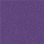 Navigator Soft Purple