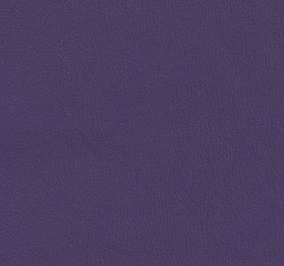 Olympus Deep Violet