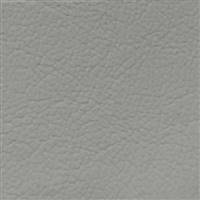 Paloma Gray Leather