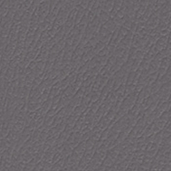 Phoenix Pearl Gray