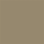 SEM Paint Honda Mild Beige