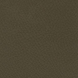 Sutton Dark Khaki