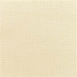 Canvas Vellum